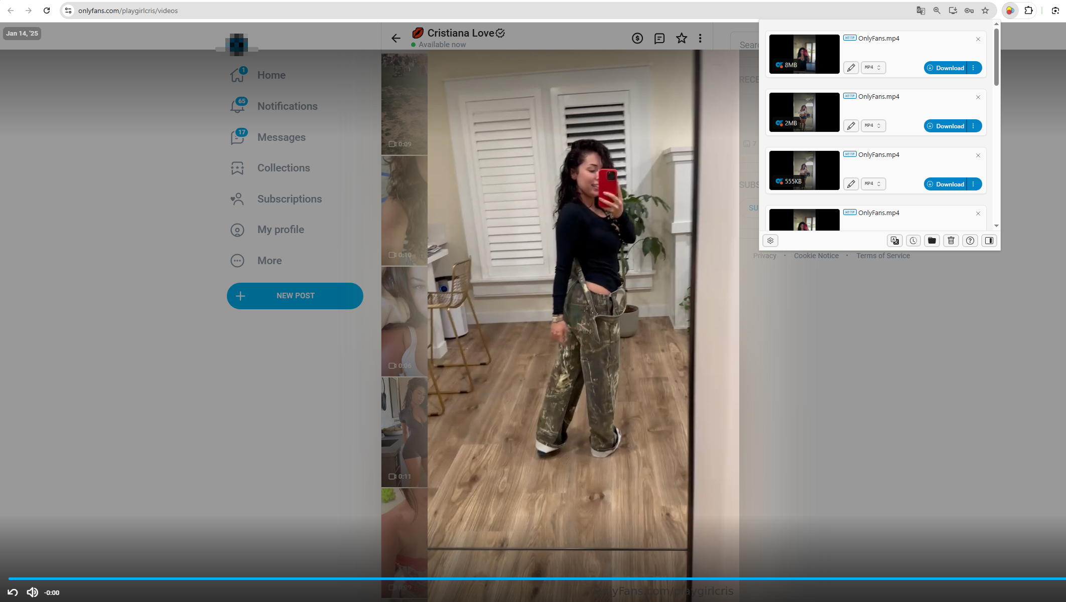 प्लेगर्लक्रिस वीडियो को एक्सटेंशन के साथ डाउनलोड करें