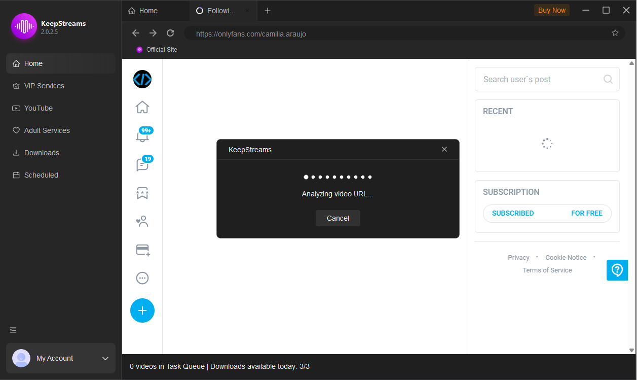 keepstreams detect of videos